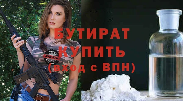 прущие грибы Вязьма